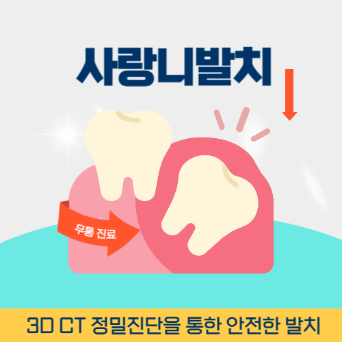 서귀포치과 서귀포시 치과 사랑니 발치